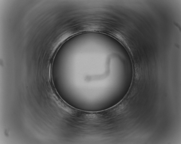 X0000103431227200809121322
