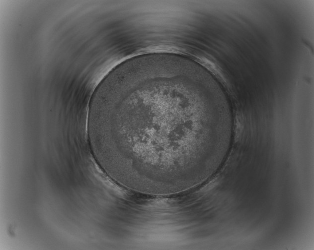 X0000103431228200809121322
