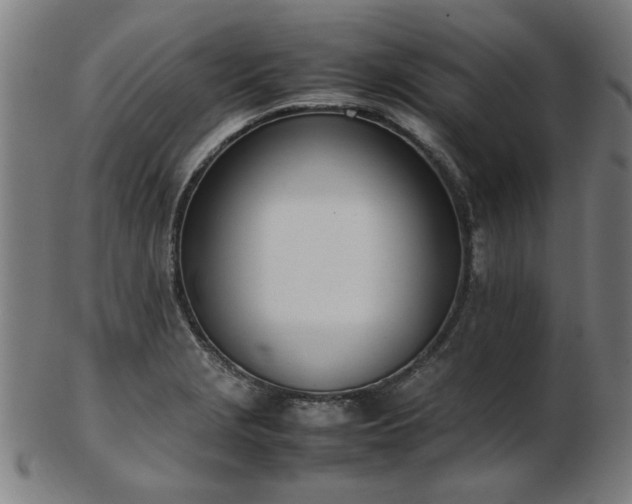 X0000103431229200809121322