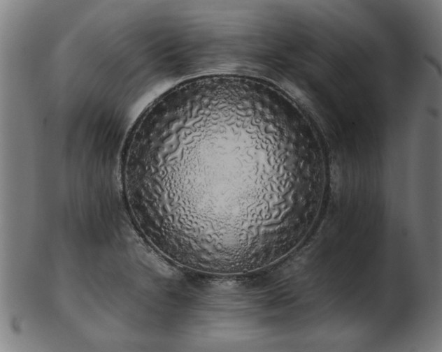 X0000103431230200809121322