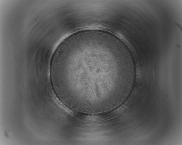X0000103431232200809121322