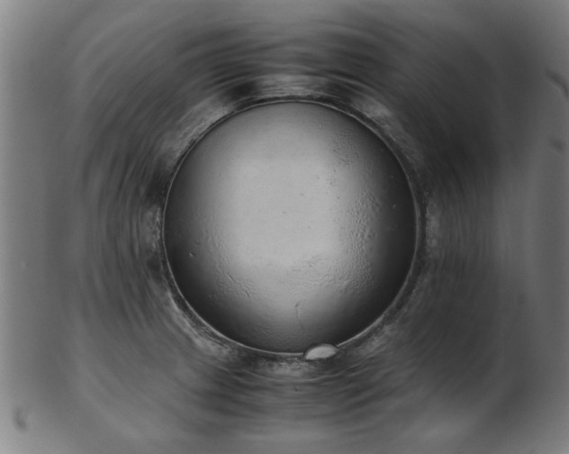 X0000103431233200809121322