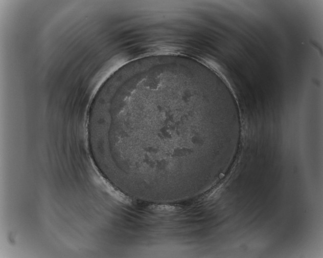 X0000103431235200809121322