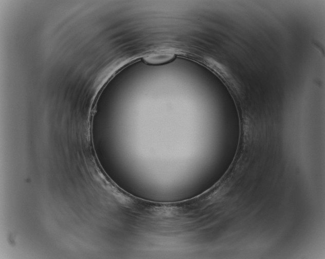 X0000103431236200809121322