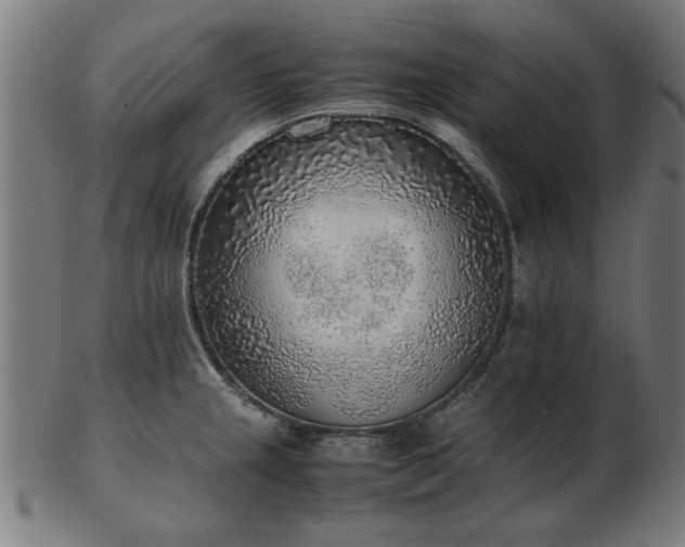 X0000103431237200809121322