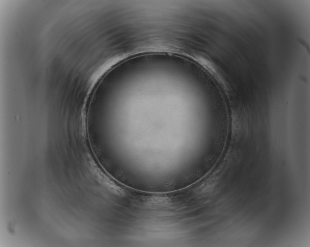 X0000103431238200809121322