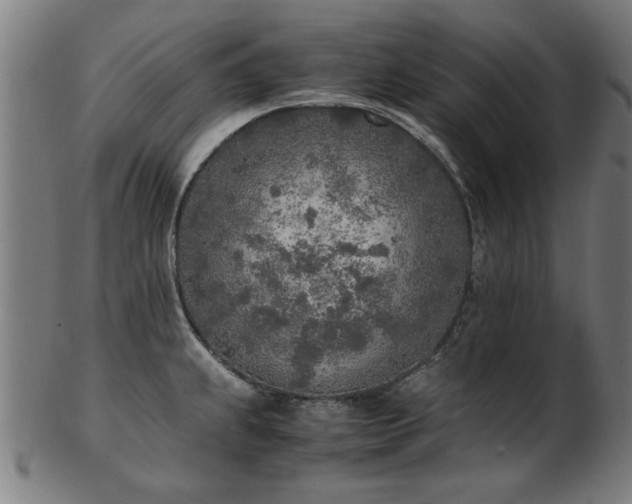 X0000103431239200809121322