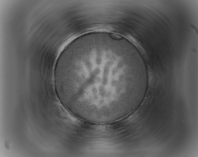 X0000103431240200809121322