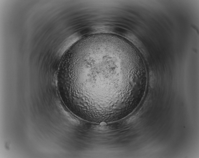 X0000103431241200809121322