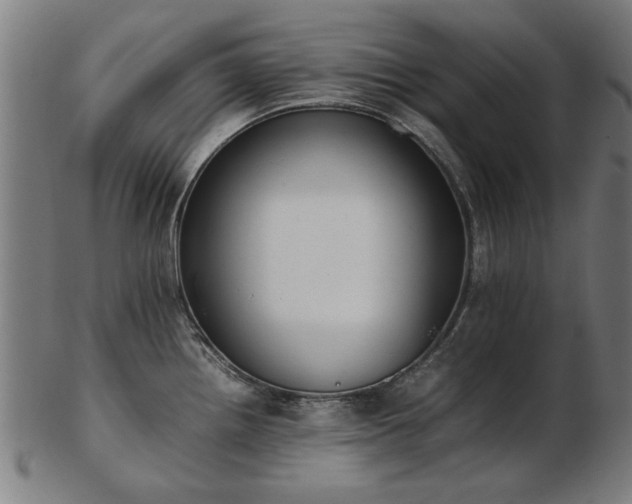 X0000103431242200809121322