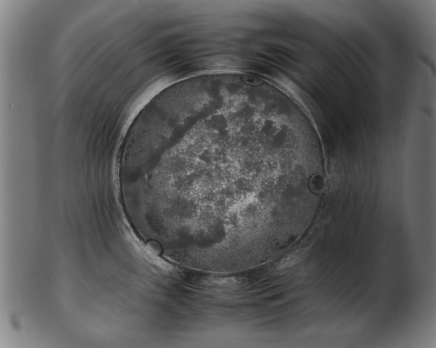 X0000103431243200809121322