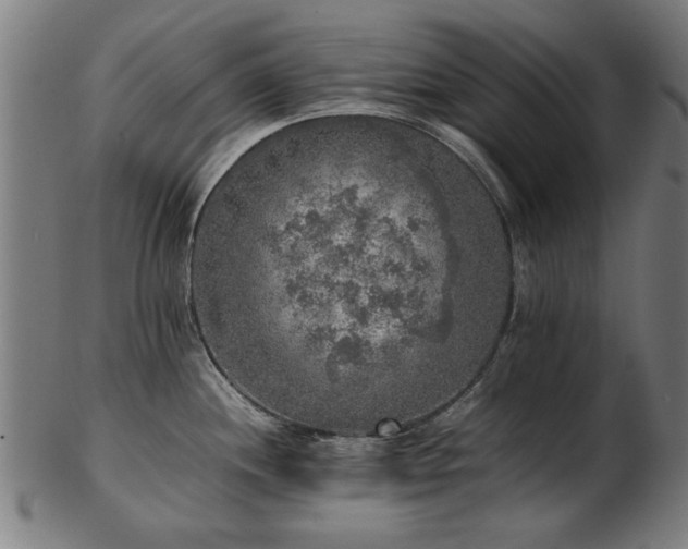 X0000103431244200809121322