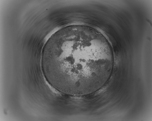 X0000103431245200809121322