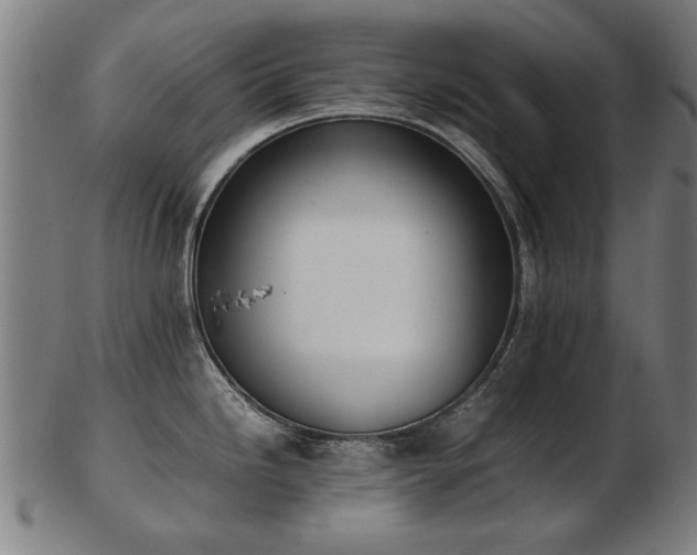X0000103431246200809121322