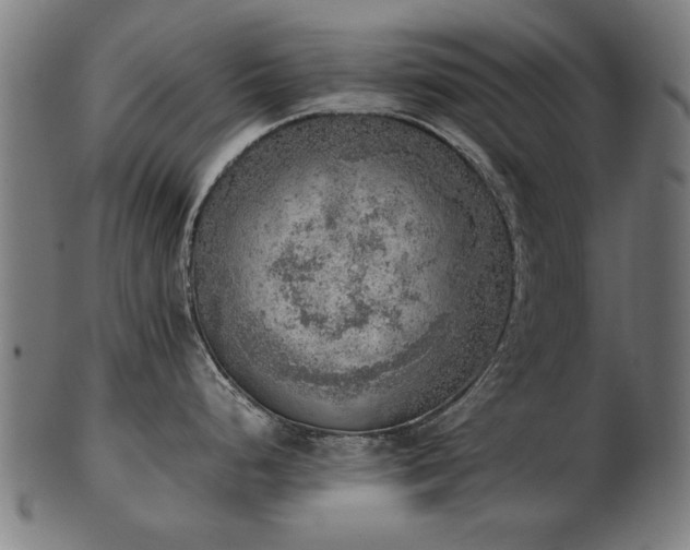 X0000103431248200809121322