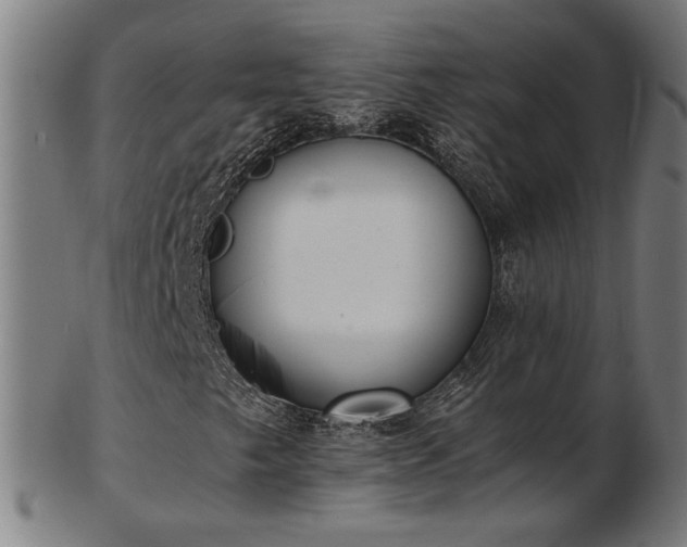 X0000103431249200809121322