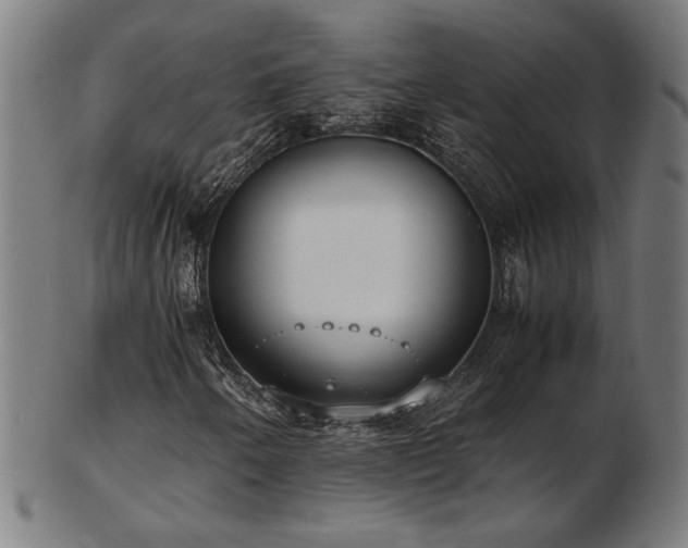 X0000103431250200809121322