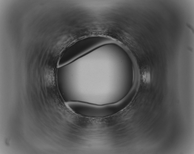 X0000103431252200809121322