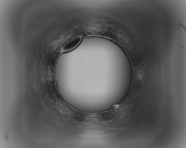 X0000103431253200809121322