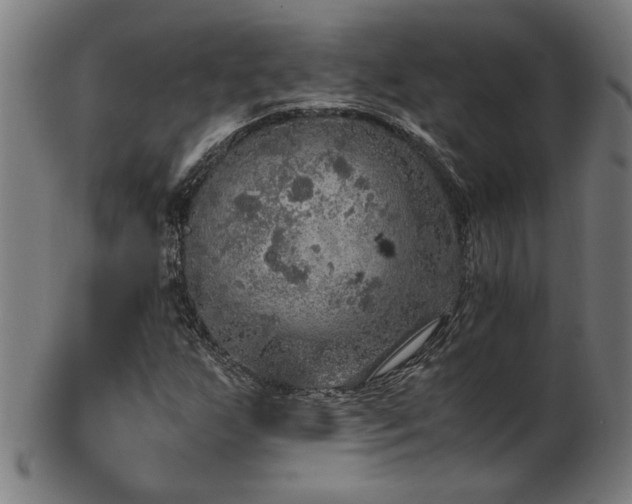 X0000103431255200809121322