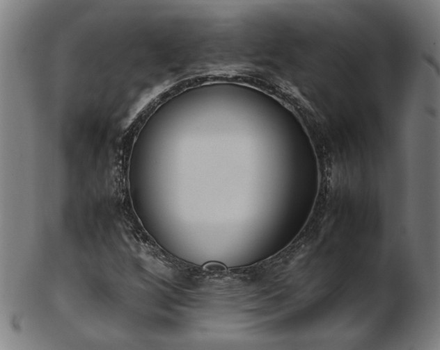 X0000103431256200809121322