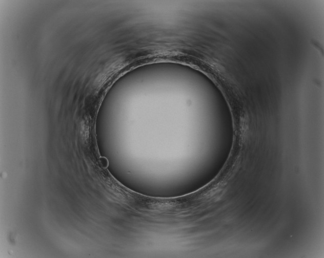 X0000103431257200809121322
