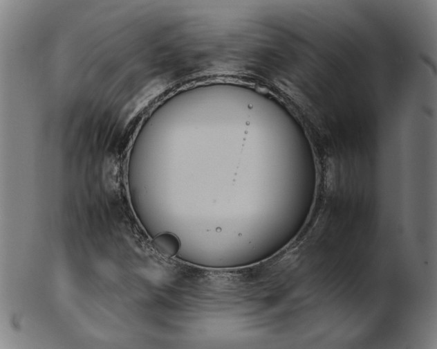 X0000103431258200809121322