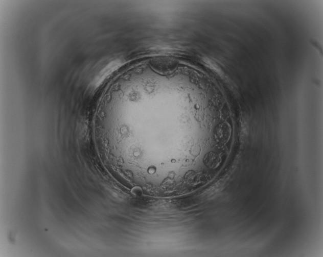 X0000103431259200809121321