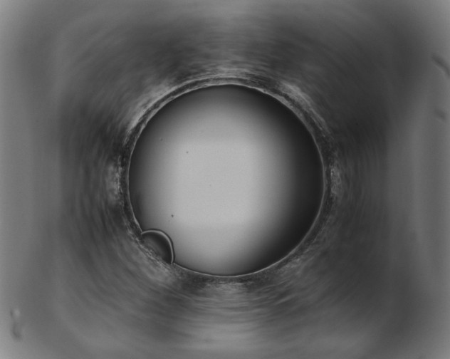 X0000103431260200809121321