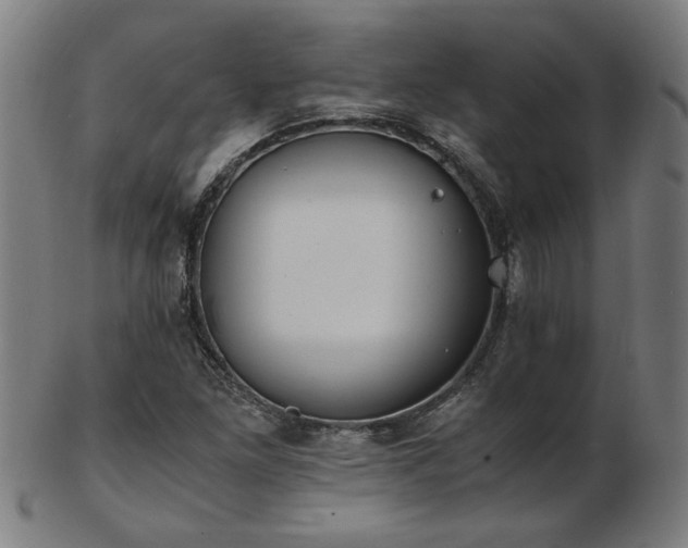 X0000103431261200809121321