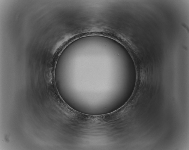 X0000103431262200809121321