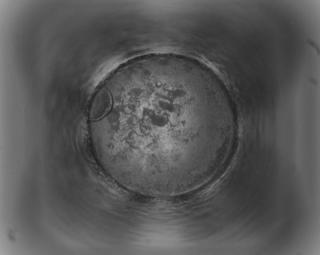 X0000103431263200809121321