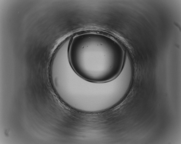X0000103431264200809121321