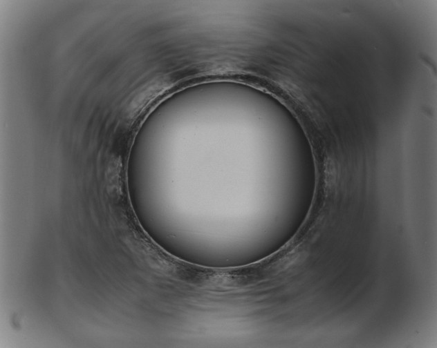 X0000103431265200809121321