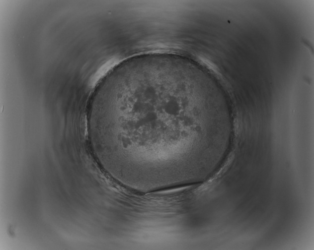X0000103431267200809121321
