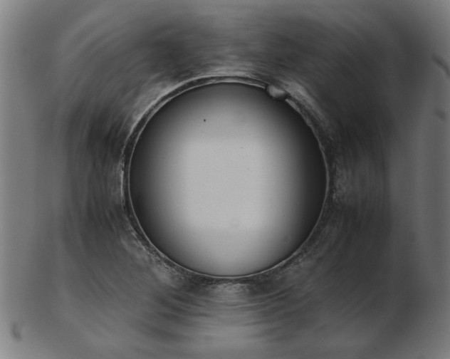 X0000103431268200809121321