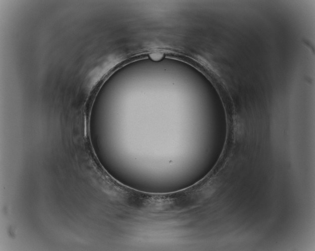 X0000103431269200809121321