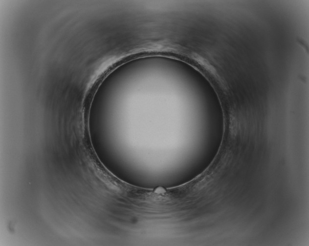 X0000103431270200809121321