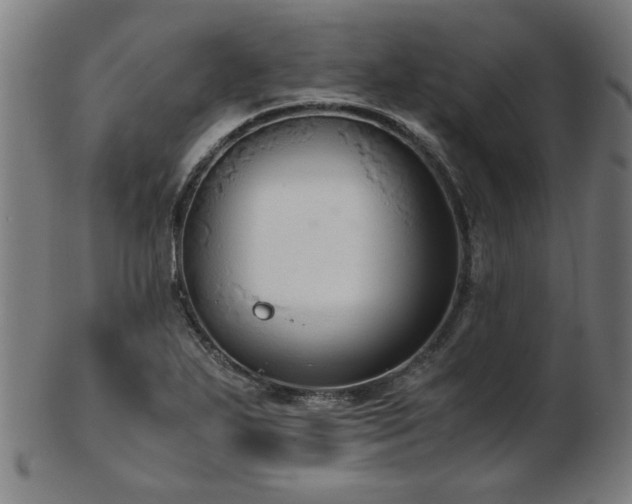 X0000103431271200809121321