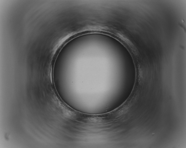 X0000103431272200809121321