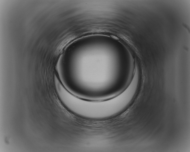 X0000103431273200809121321