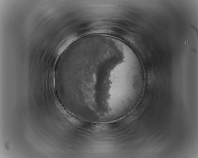 X0000103431274200809121321