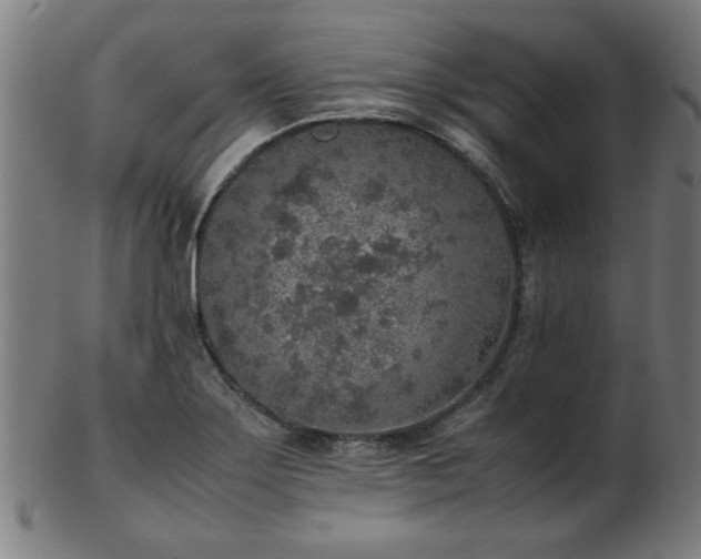 X0000103431275200809121321