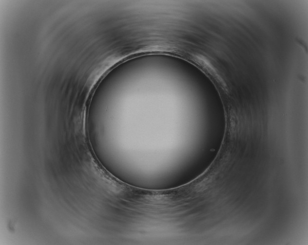 X0000103431276200809121321