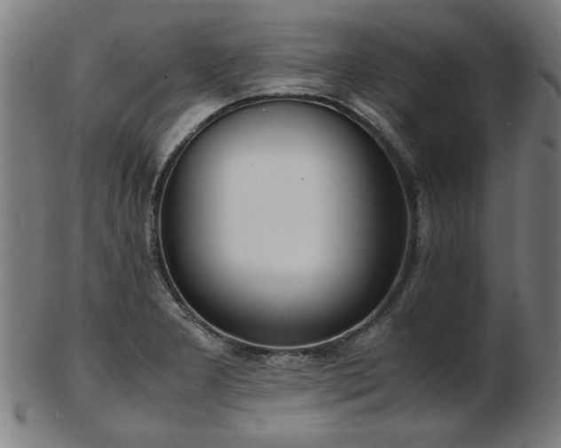 X0000103431277200809121321