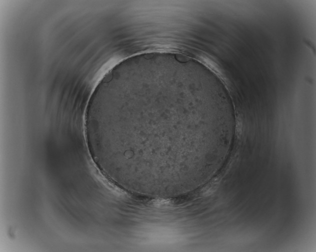 X0000103431283200809121321