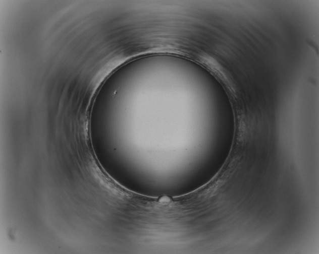 X0000103431284200809121321