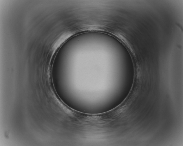 X0000103431285200809121321