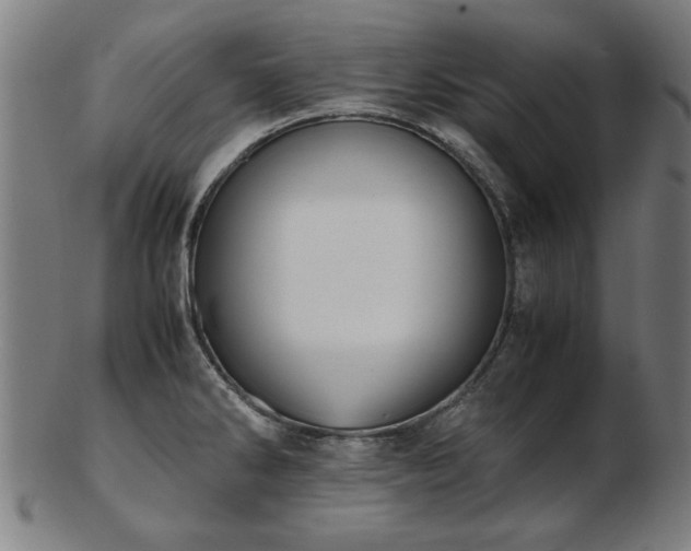 X0000103431286200809121321