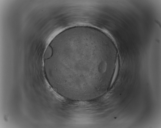 X0000103431287200809121321